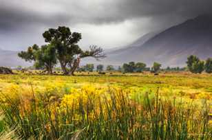 Round Valley-5091.jpg